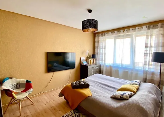 Cozy One Bedroom Apartment In The City Center