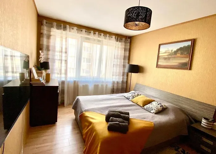 Cozy One Bedroom Apartment In The City Center
