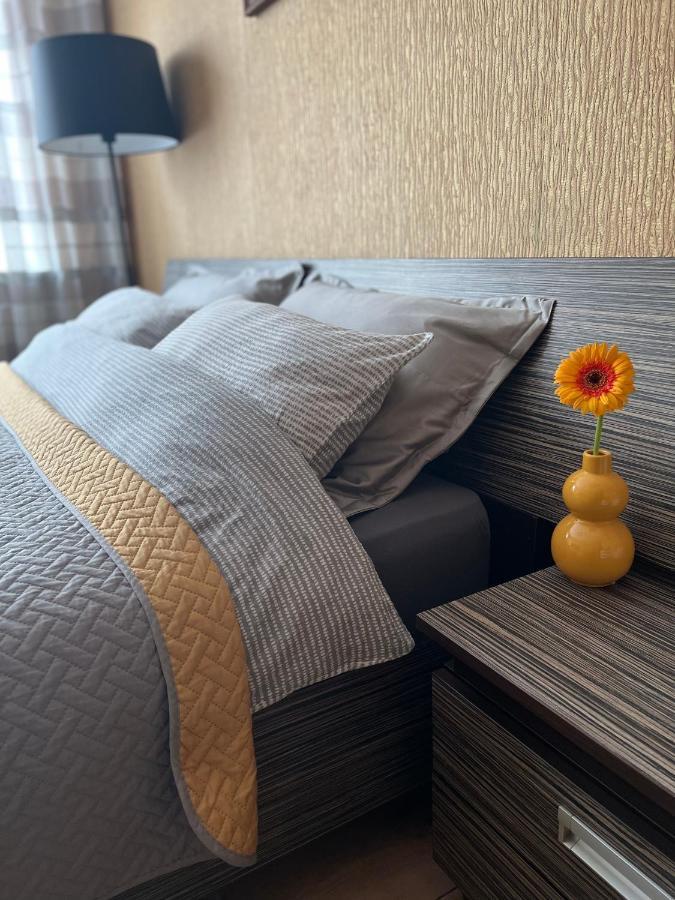 Cozy One Bedroom In The Center Apartment Mazeikiai
